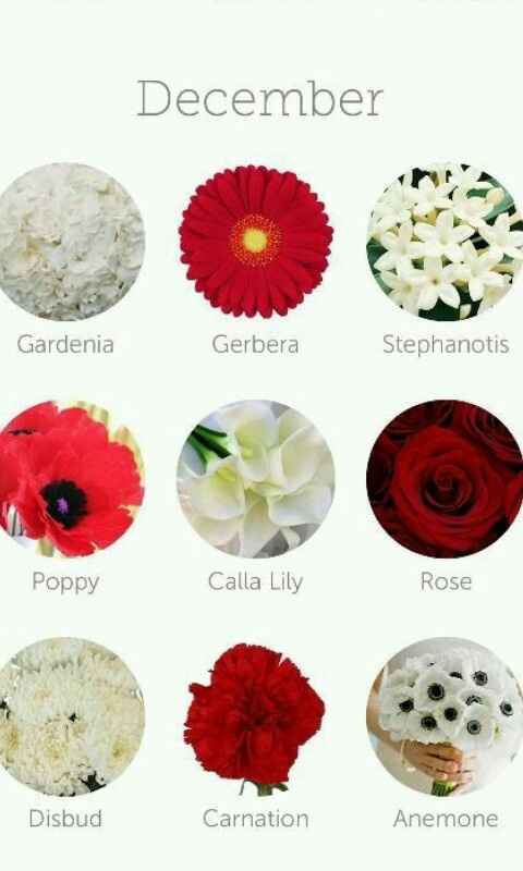 Dicas de decoração (flores) - 12