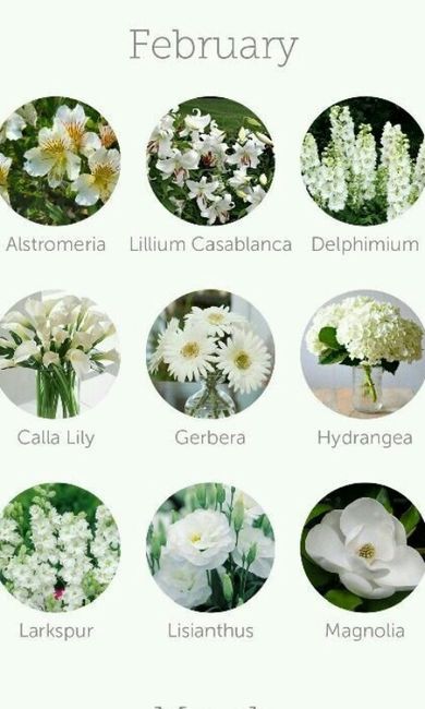 Dicas de decoração (flores) - 2