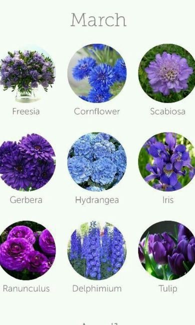 Dicas de decoração (flores) - 3