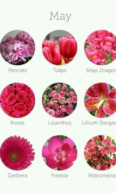 Dicas de decoração (flores) - 5