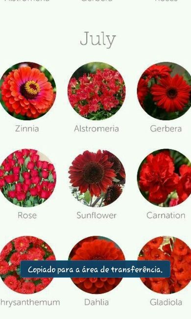 Dicas de decoração (flores) - 6