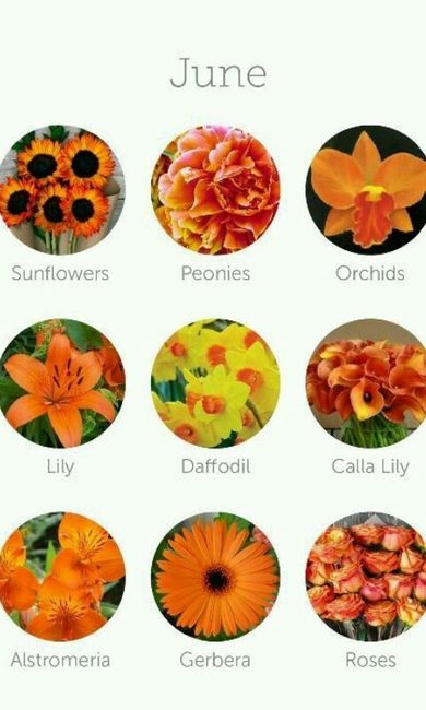 Dicas de decoração (flores) - 7