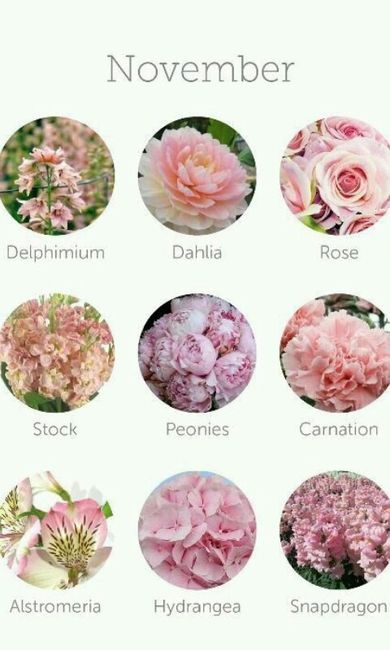 Dicas de decoração (flores) - 11