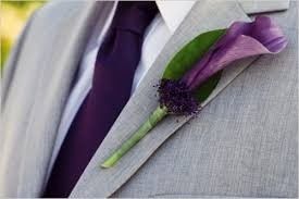 roxo noivo