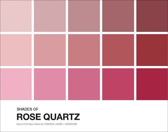 Paleta de cores