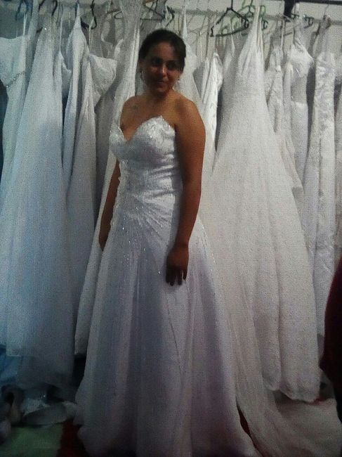Falta 30 dias. olhem meu vestido!!! - 3