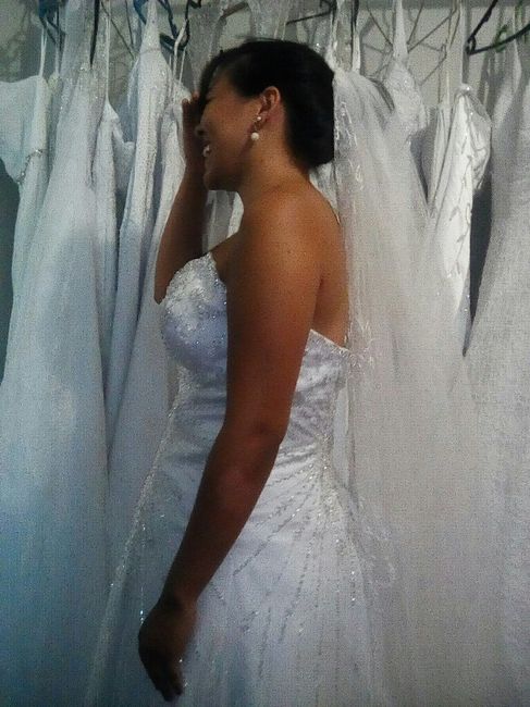 Falta 30 dias. olhem meu vestido!!! - 4