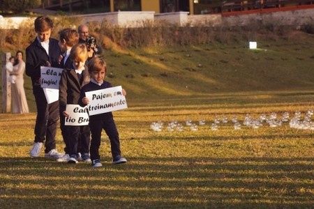 plaquinhas