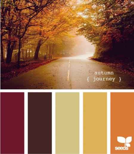 paleta de outono
