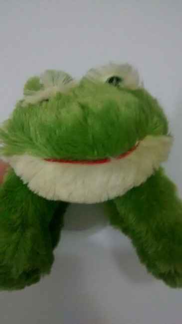 Sapo do noivo jogar
