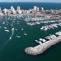Punta del este