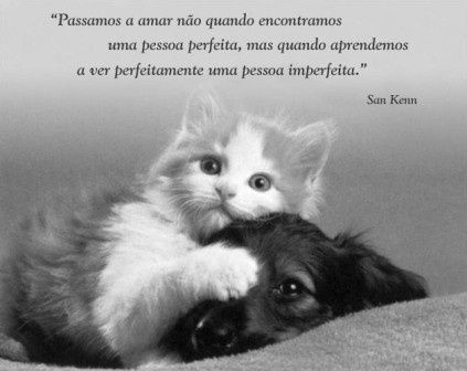 MUITO VERDADEEEEEEEEEEEEEEEEEEEEE
