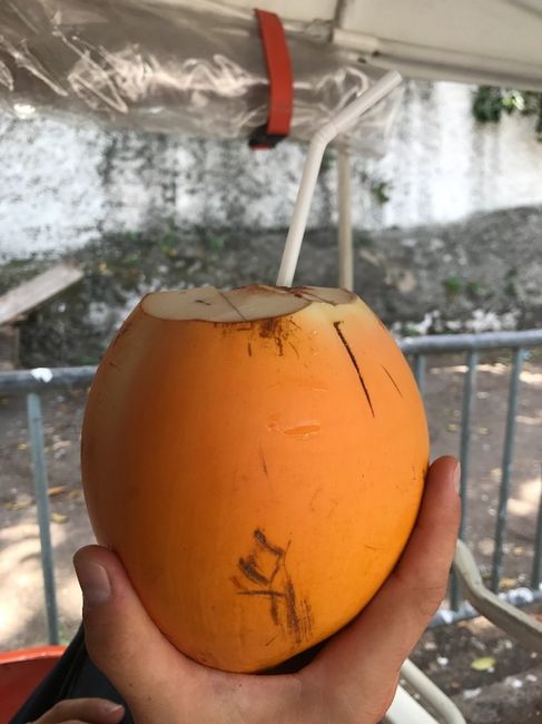 Côco laranja no Sri Lanka - nunca tinha visto!!