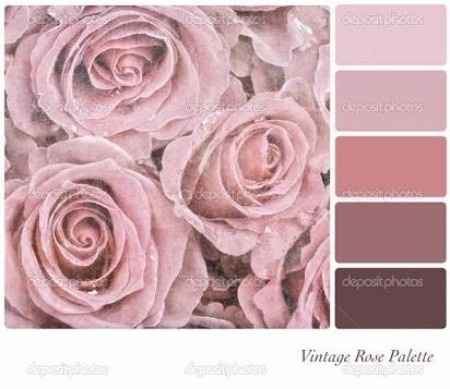 paleta nude