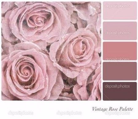 paleta nude
