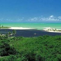 Não terei lua de mel? - 1