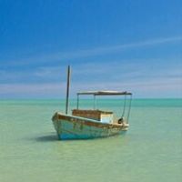 Não terei lua de mel? - 2