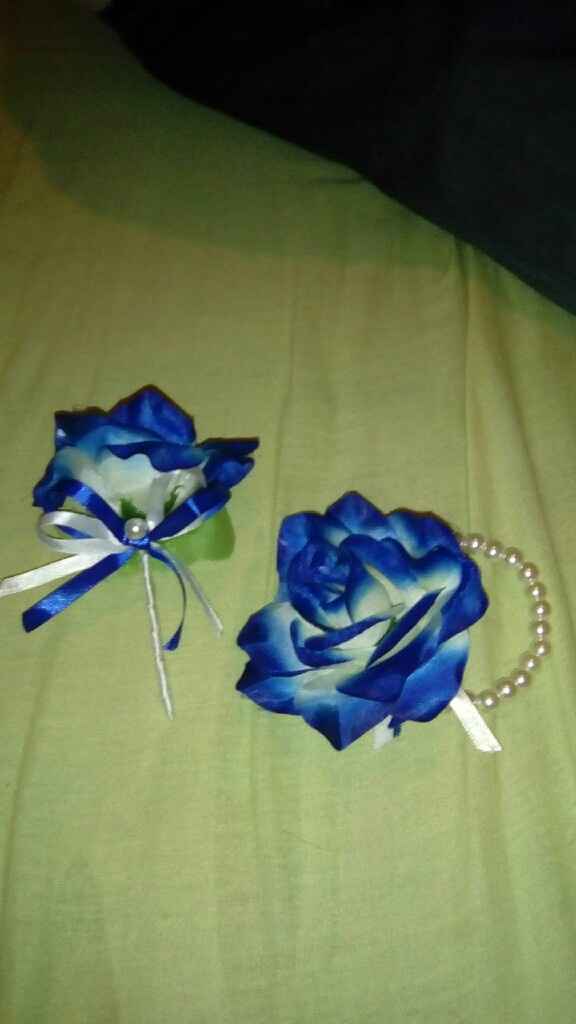 Lapelas e corsages - 1