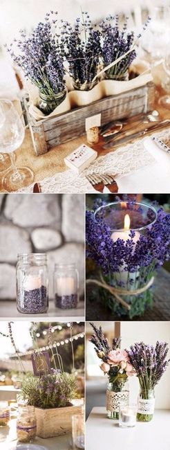 Lavanda na decoracao