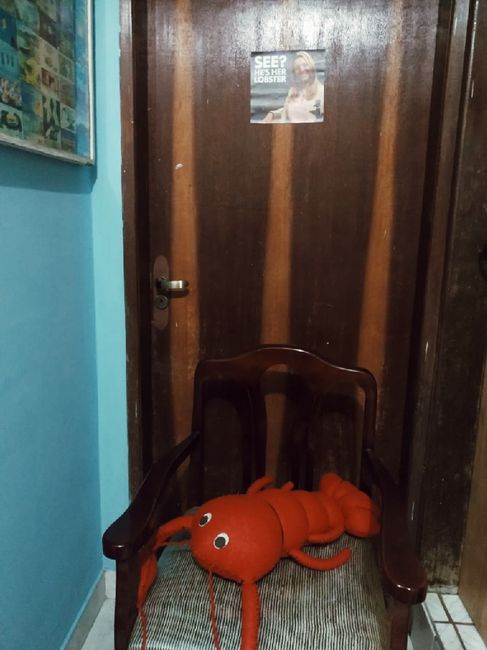 Meu pedido de Casamento 11