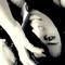 Hellen