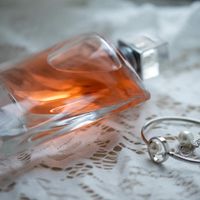Casamento no civil para segurar a barra da mudanca para 2021 - 4