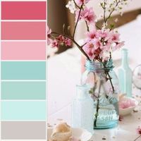 paleta de cores - 1