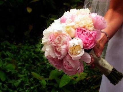 Bouquet - venha ver - 3