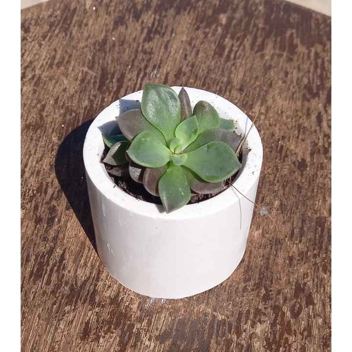 Vaso de Gesso para velas - 2