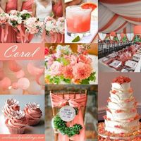 como escolher as cores do casamento ?