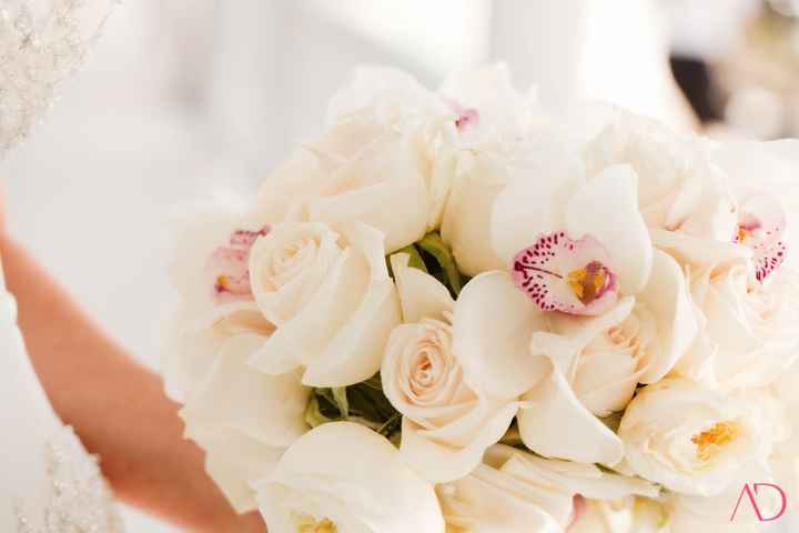 rosas e orquideas