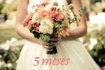 5 meses - 1