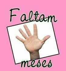 5 meses - 2