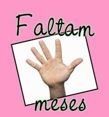 5 meses - 2
