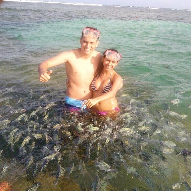 Porto de galinhas, quem indica ? - 2