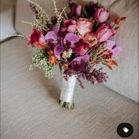 Quarta-feira de fotos 📷 - 1