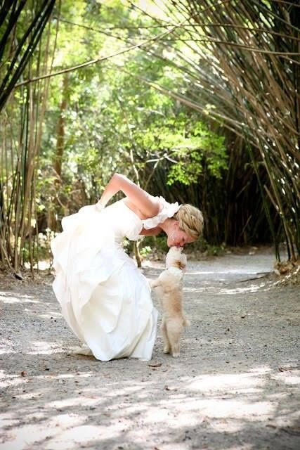 casamento*_*