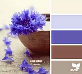 Palheta de cores 