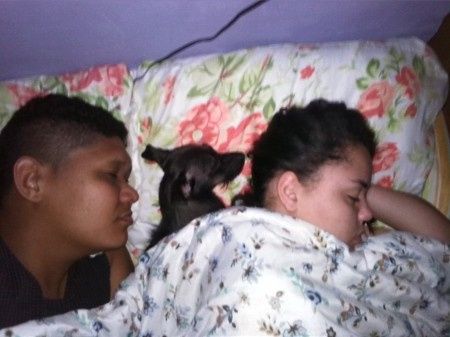 Casando com o baby dog a tira colo - 1
