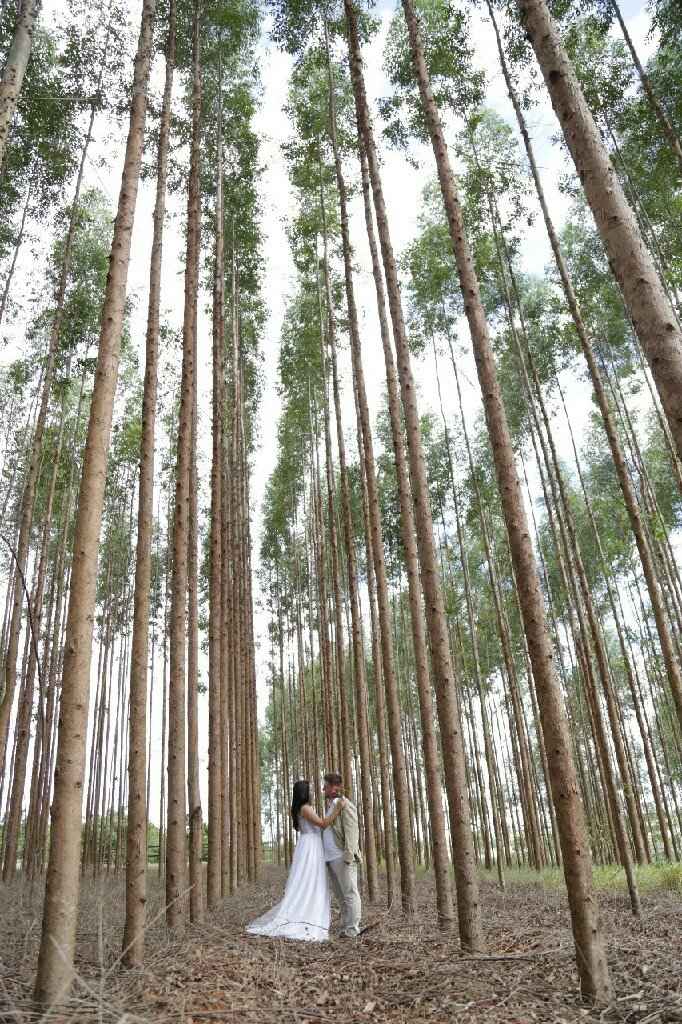  Nosso pre wedding - 1