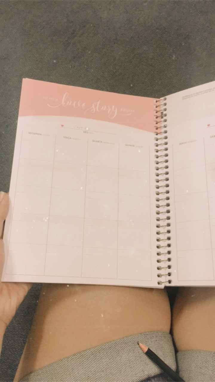 Planner de Casamento perfeito 😍 - 8