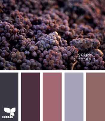 Paleta de cores - 8