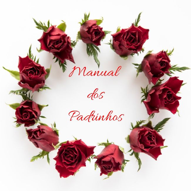 manual dos padrinhos (começo) 2