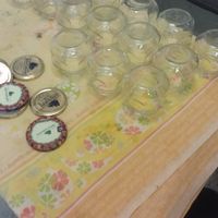 Potinhos usados para os terrários