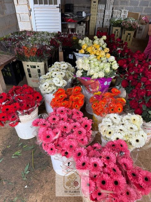 Flores para festa e eventos direto do produtor rural! 2