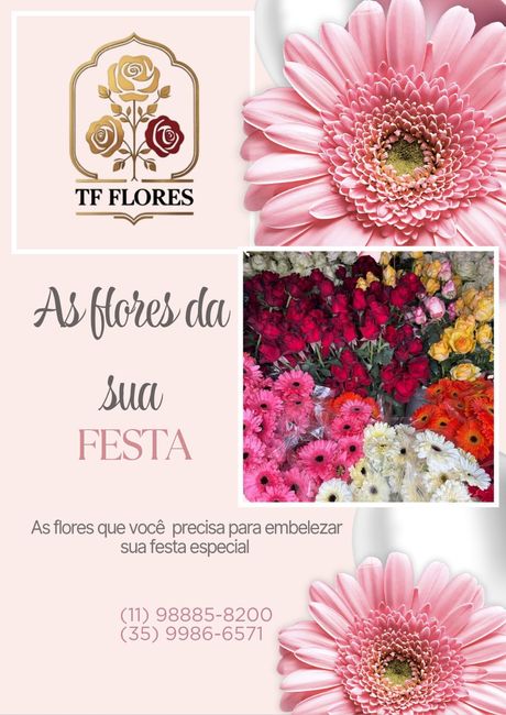 flores direto da Roça para sua festa 🥳 2