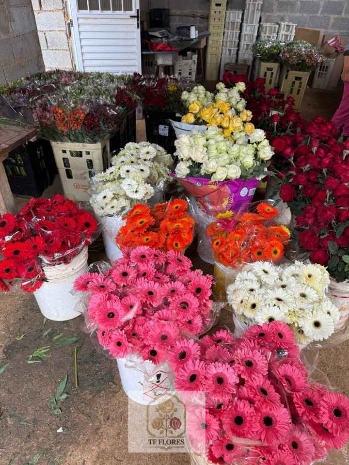 Flores para festa e eventos direto do produtor rural! - 2