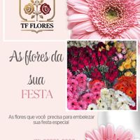 flores direto da Roça para sua festa 🥳 - 2