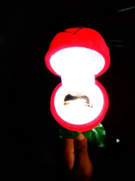 Meeu Pedido de Caasamento' *--*