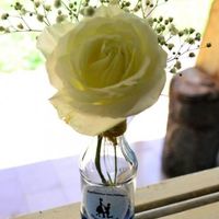Vasos
